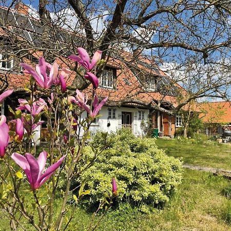 Ferienhof Rauchhaus Karft ภายนอก รูปภาพ