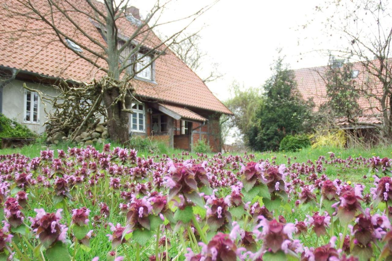 Ferienhof Rauchhaus Karft ภายนอก รูปภาพ